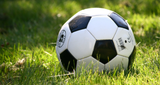 Black and white soccer ball in the grass with sun shining on it.